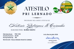 (Lote 1) Atestilo-2026 - 1