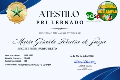 (Lote 1) Atestilo-2026 - 5