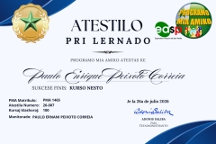 (Lote 1) Atestilo-2026 - 7