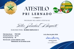(Lote 1) Atestilo-2026 - 12