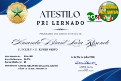(Lote 1) Atestilo-2026 - 36