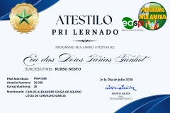 (Lote 1) Atestilo-2026 - 38
