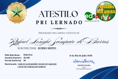(Lote 1) Atestilo-2026 - 40