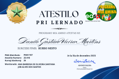 (Lote 1) ATESTILO-2025 - 10