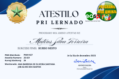 (Lote 1) ATESTILO-2025 - 13