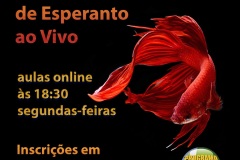 Eo-Vive-0kt-05
