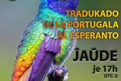 Tradukado-01